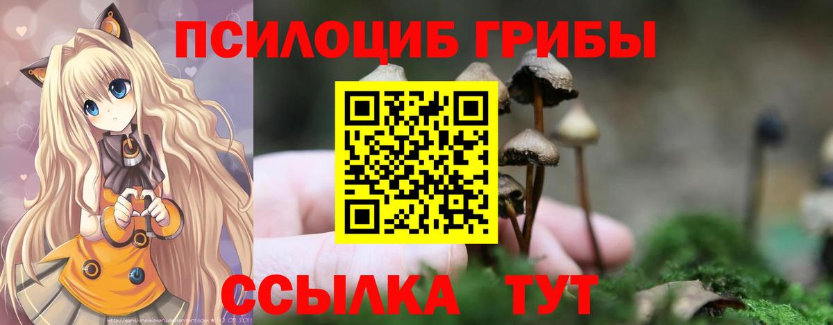 Братск  наркотики  Вход с VPN  Галлюциногенные грибы Psilocybine cubensis  Псилоцибиновые грибы мухоморы 